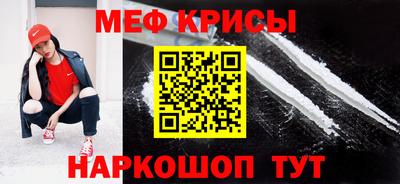 СК Кингисепп
