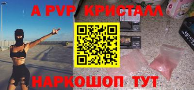 СК Кингисепп