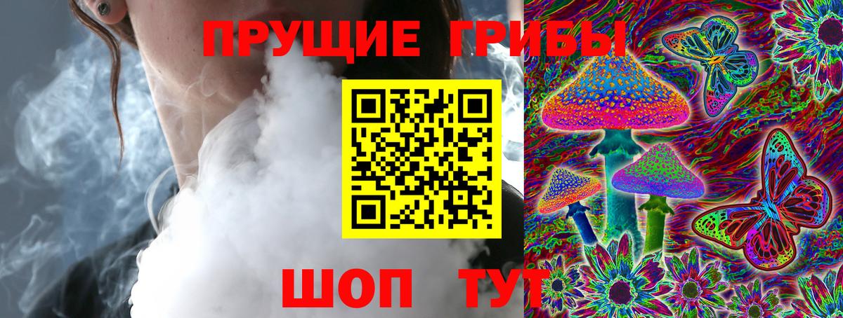 Галлюциногенные грибы Psilocybe Кропоткин